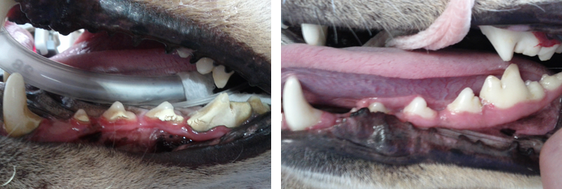 Before and After Dental