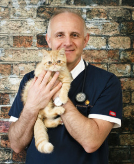 Dr. Dave S. Bonab Dr. Dave S. Bonab