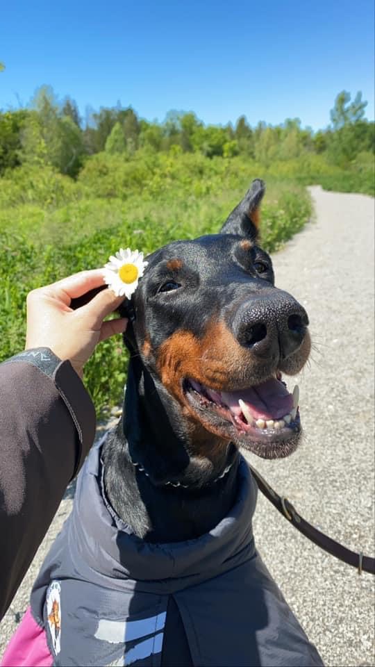 Nicole, Vet Assistant